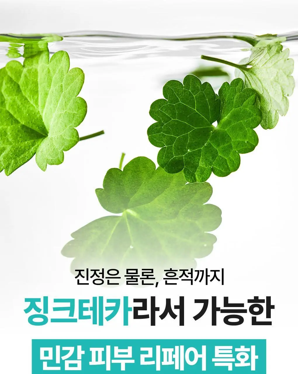 [가정의달특가] 브링그린 징크테카 리페어 흔적 크림 80ml (콜라보/기획) 상세페이지 21